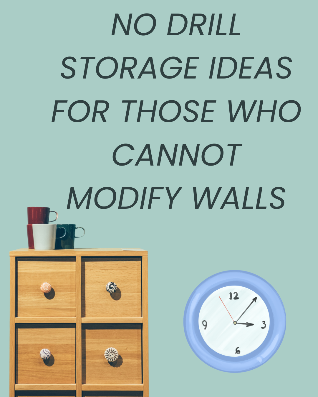 storage ideas for pakistani renters